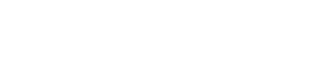Northstar Defence Lab logo featuring a stylized maple leaf.