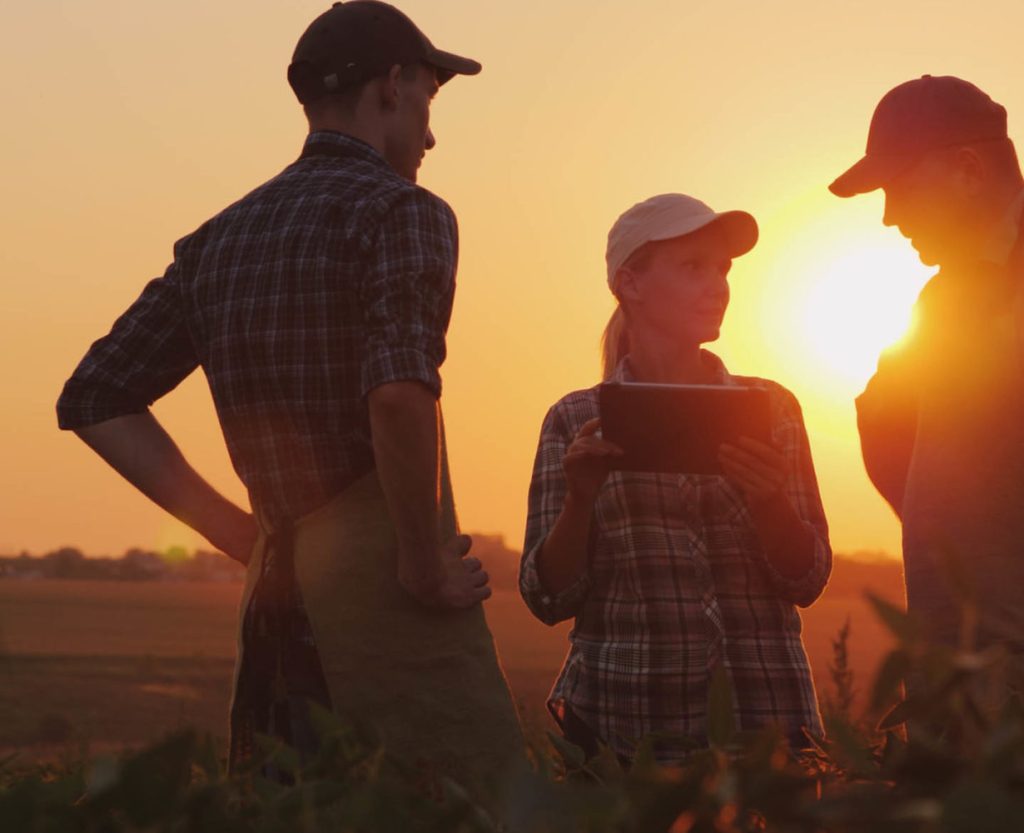 Farmers talking in field at sunrise.