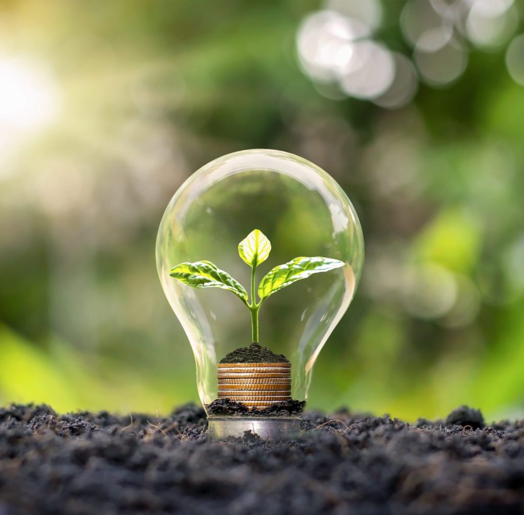 A young plant growing inside a clear light bulb placed on soil, with sunlit greenery blurred in the background.