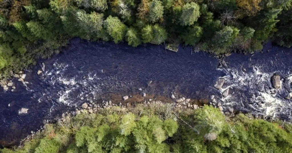 Aerial view of a river flowing through a forest, with rocks visible in the water and dense green trees lining both sides.