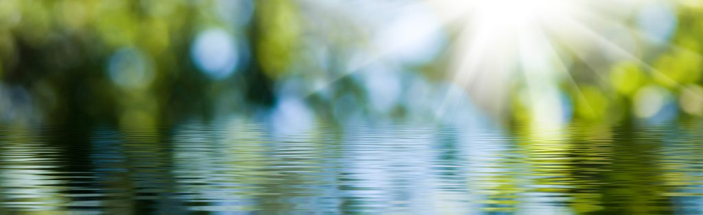 La lumière du soleil perce à travers un feuillage vert flou et se reflète sur l'eau calme et ondulante au premier plan.